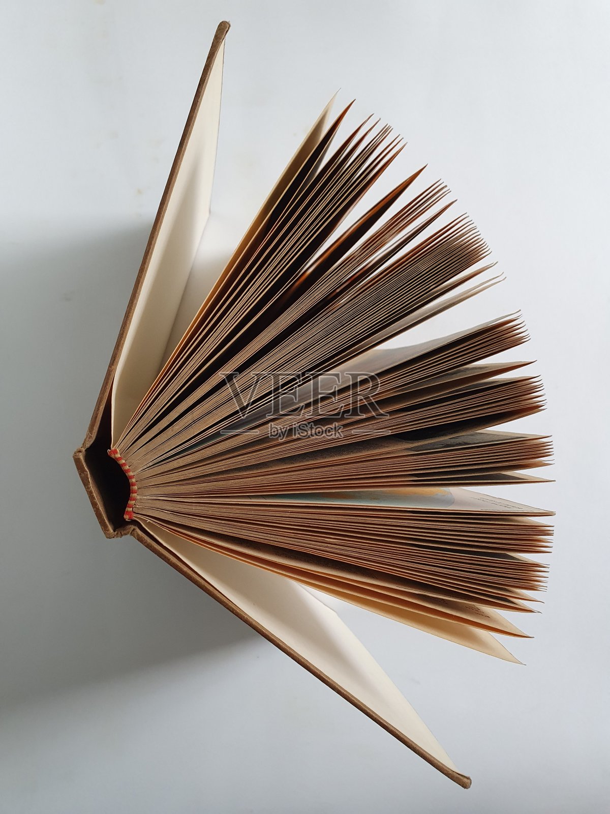 教育和知识藏在书页之间照片摄影图片