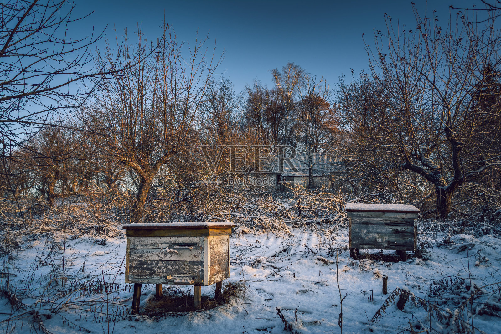 河上冬日的日出照片摄影图片