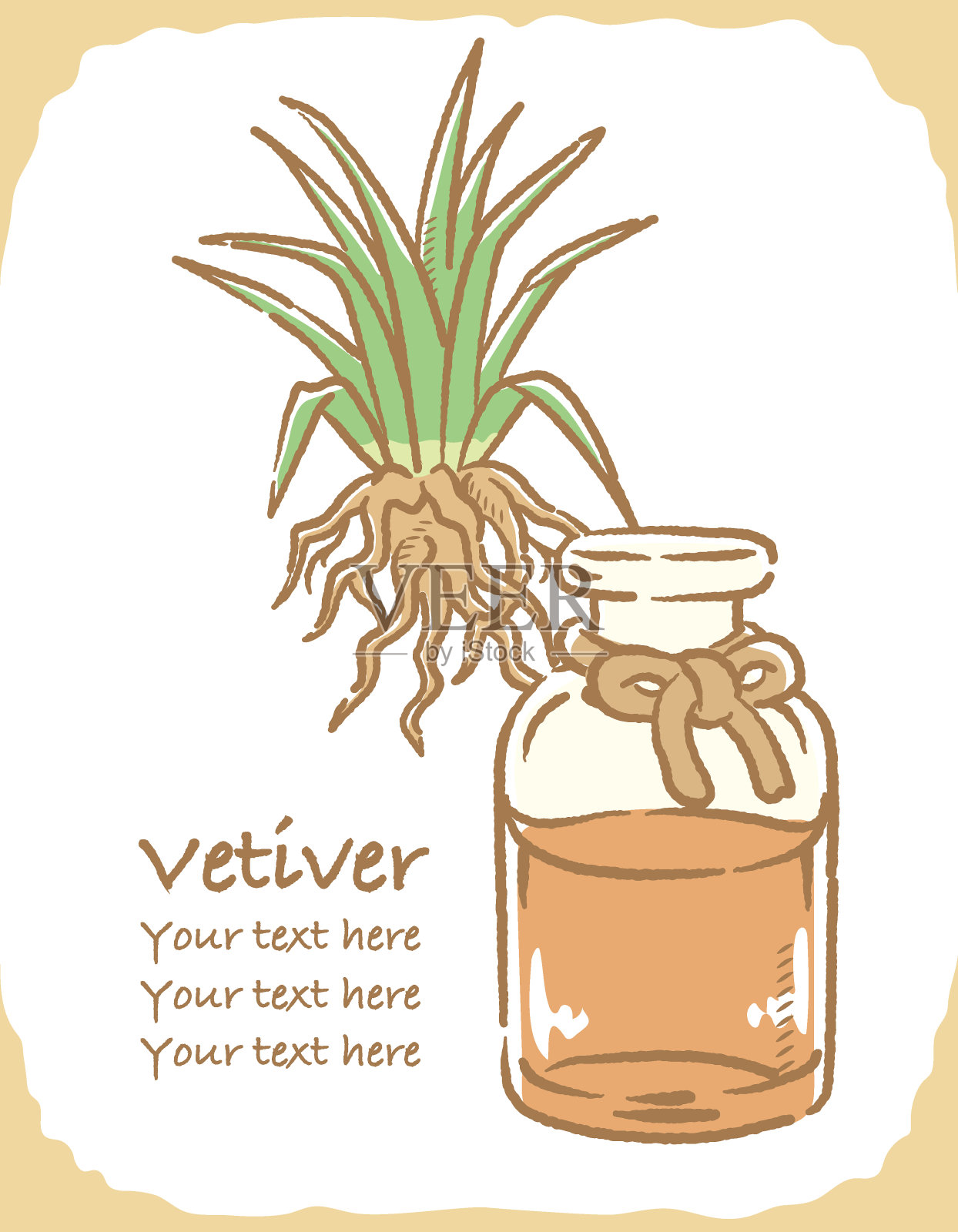 香根草和香薰瓶插图。矢量插图。插画图片素材
