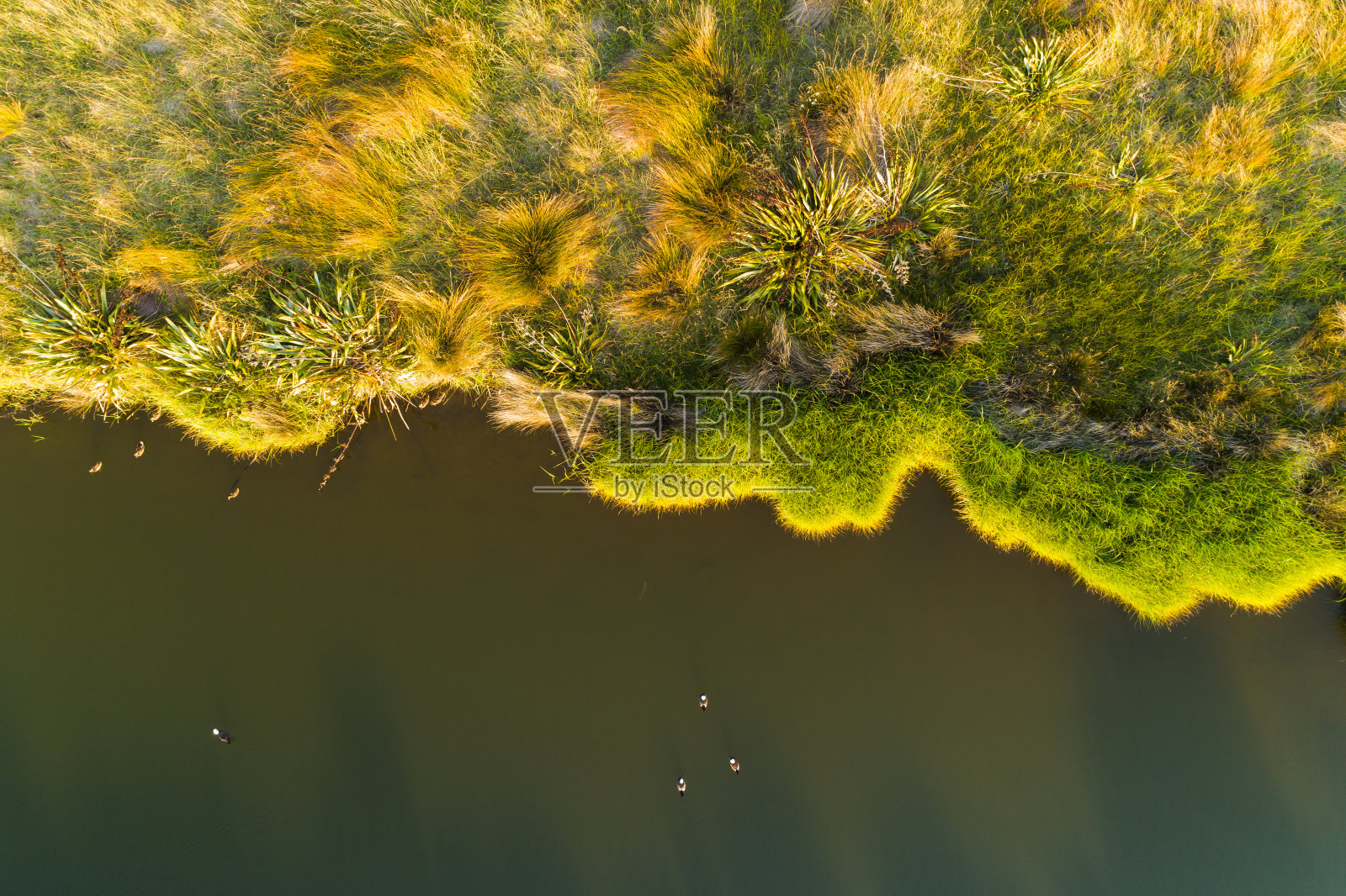 新西兰Georgaphic。照片摄影图片