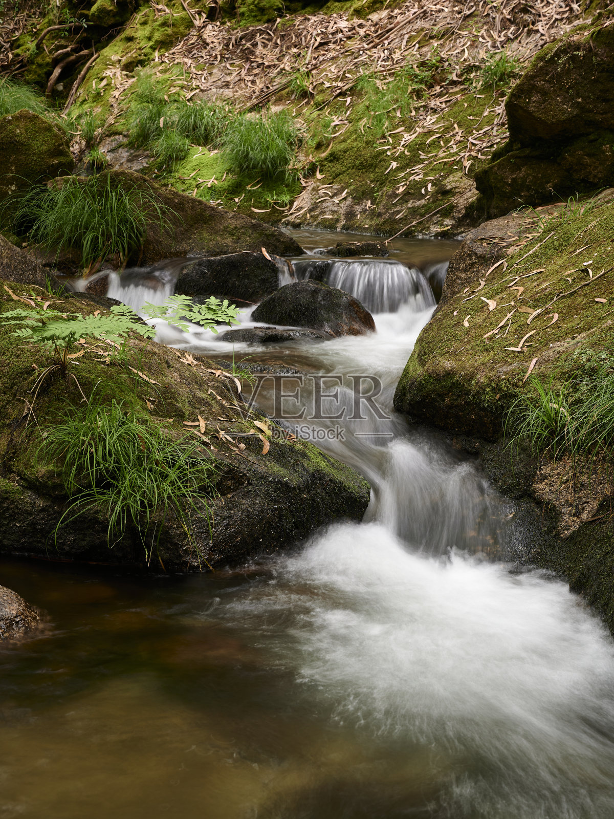 瀑布在Leça河的春天照片摄影图片