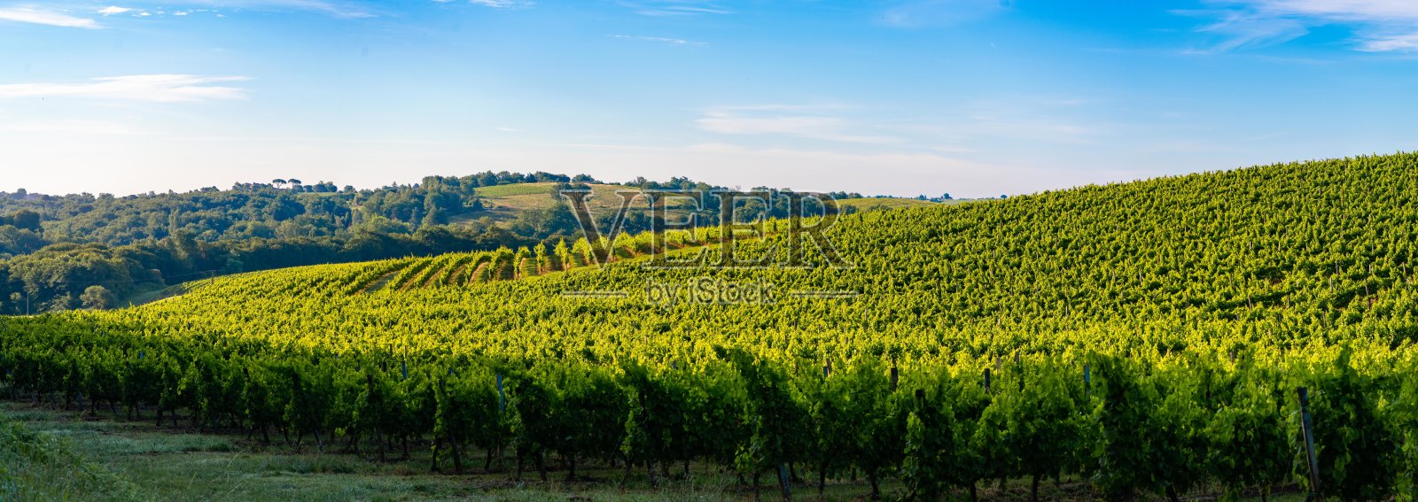 日落景观，波尔多葡萄园，豪斯，法国照片摄影图片
