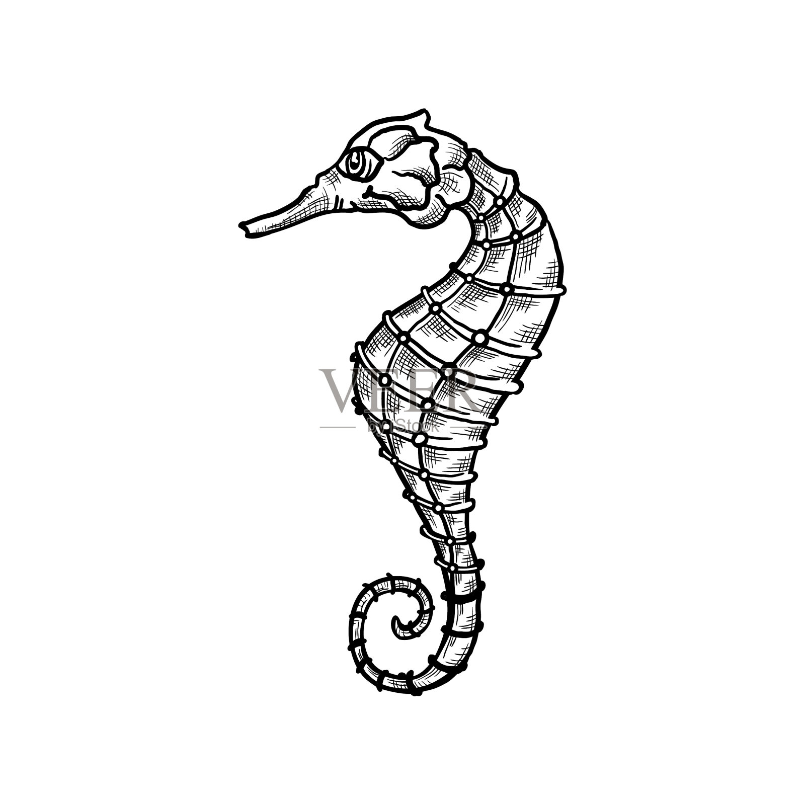 素描海马，海洋，动物艺术线图标设计元素图片