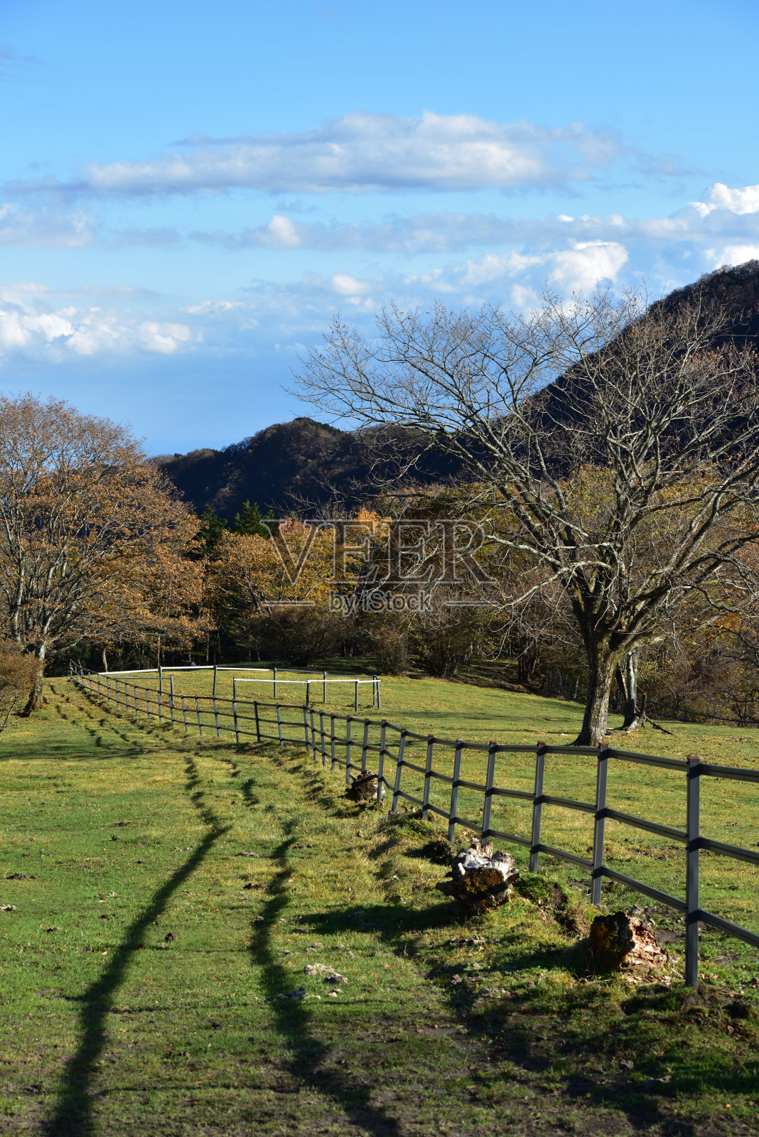 日本日光的红叶牧场照片摄影图片
