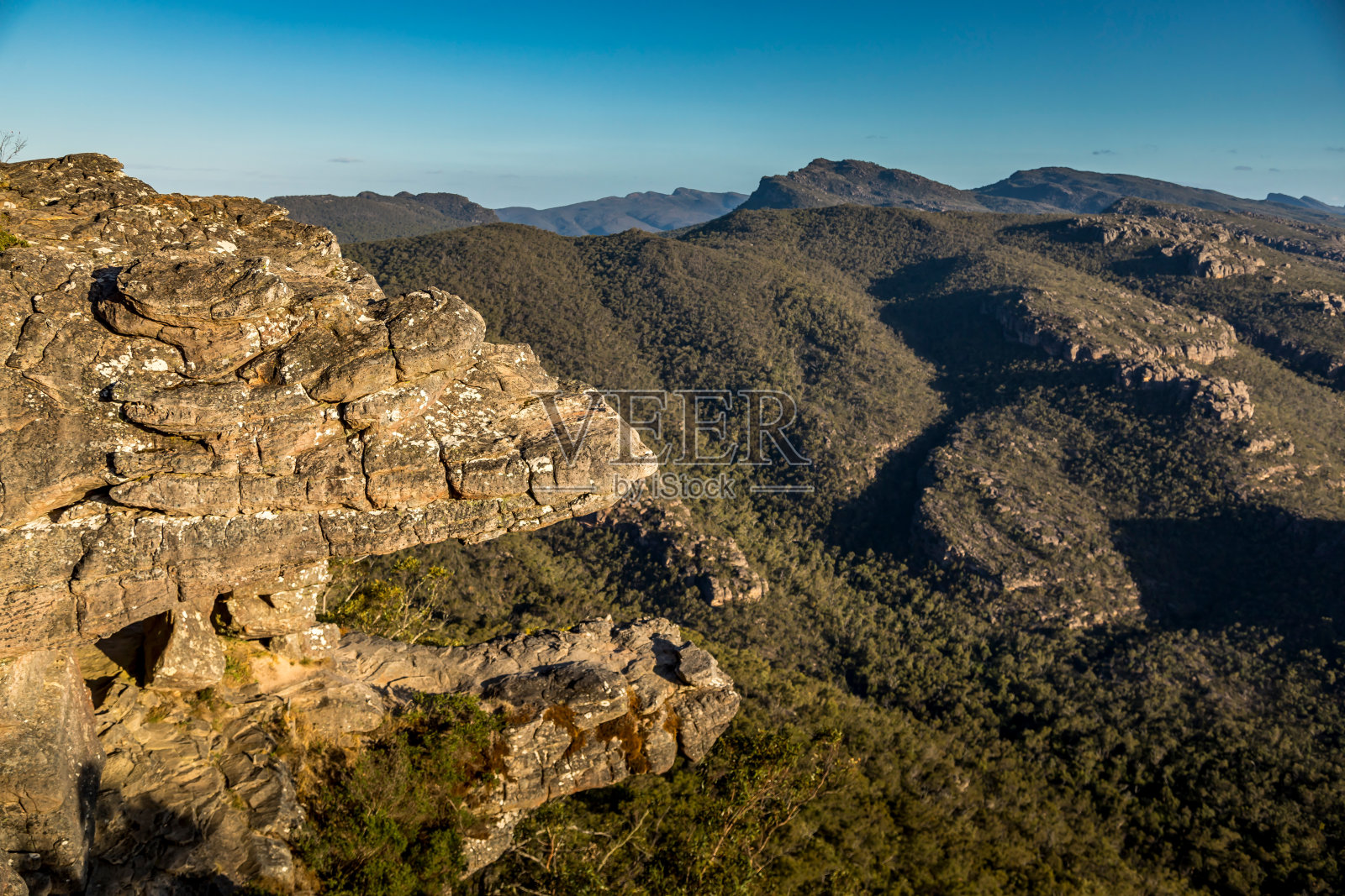 在澳大利亚维多利亚州的格兰平斯国家公园里，在一个阳光明媚的夏日，从Reed观景台看到美丽的景色。照片摄影图片