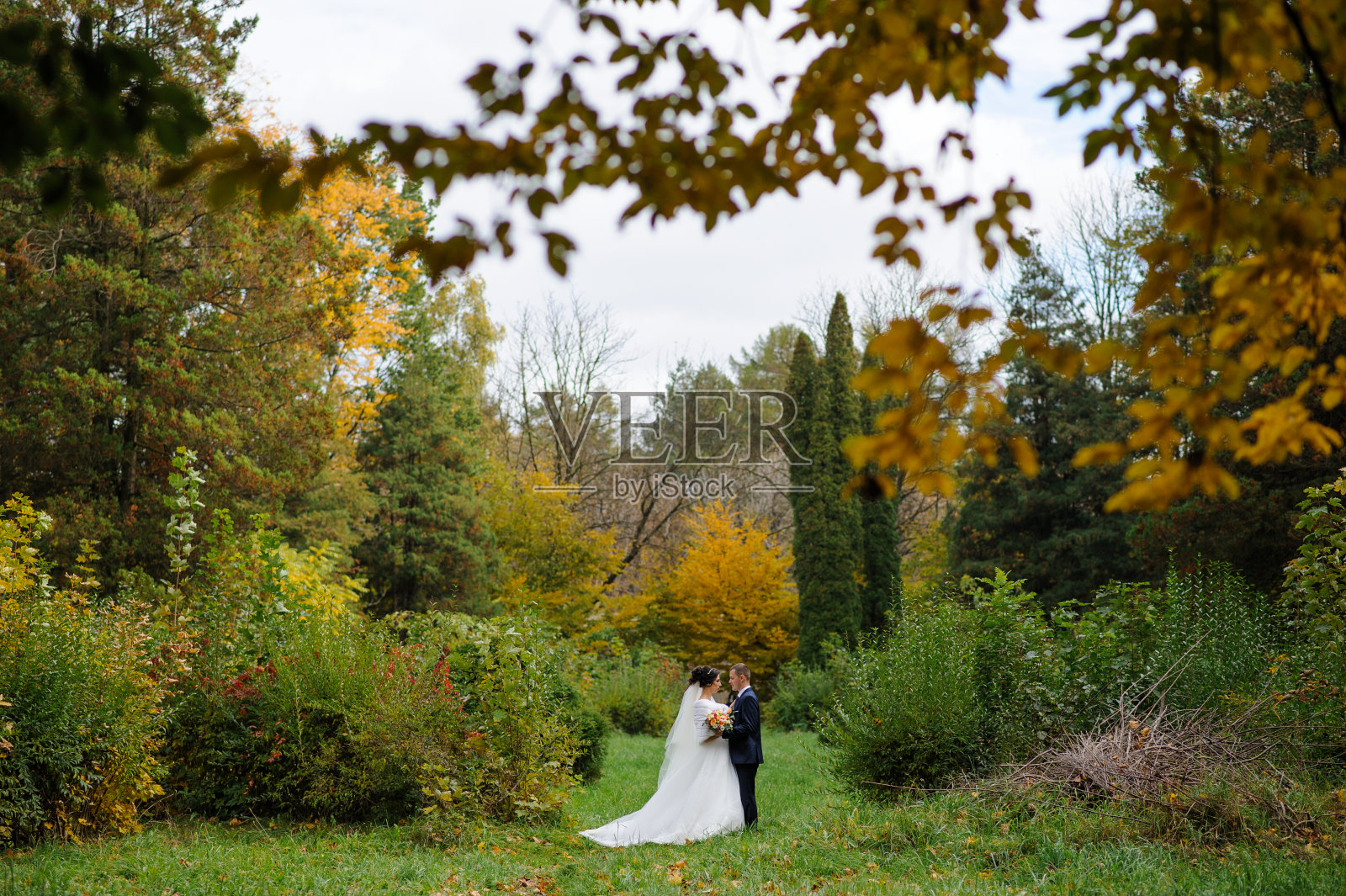 新娘和新郎的背景是秋天的公园。照片摄影图片