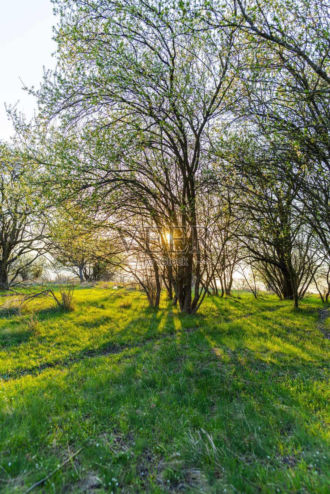 春天风景视图照片摄影图片