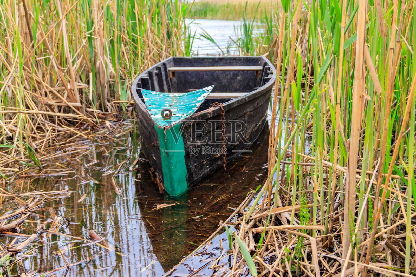 河岸边芦苇里的一条旧木船照片摄影图片