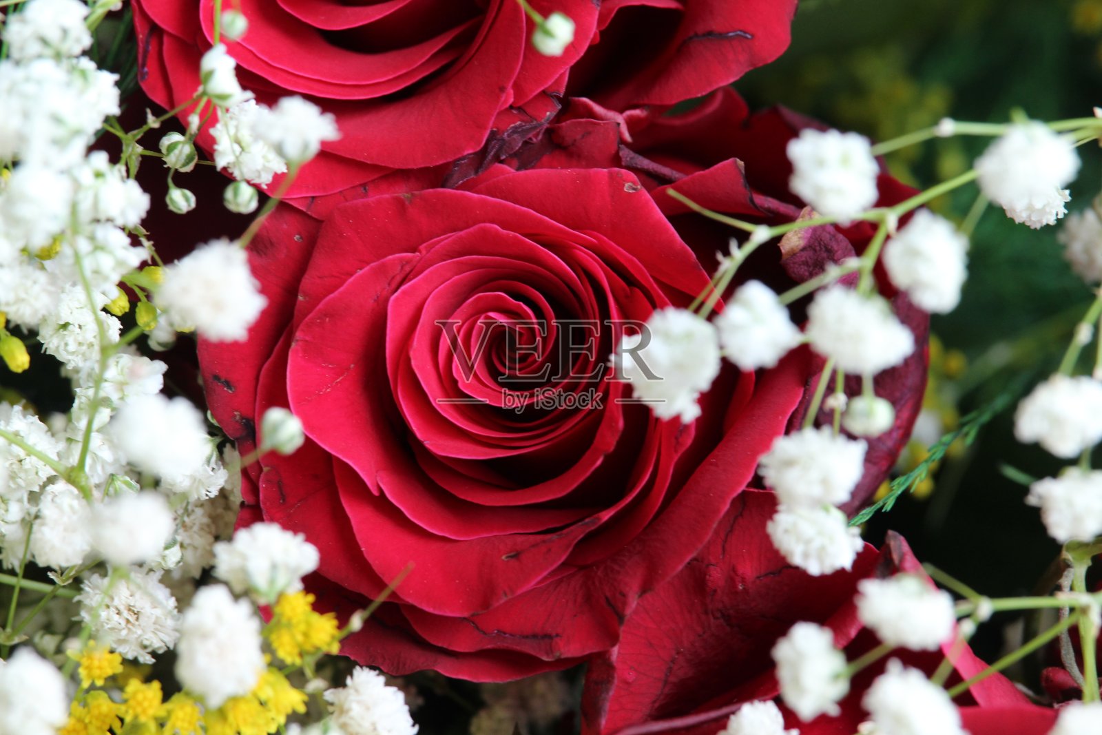 红玫瑰作为爱情的背景照片摄影图片