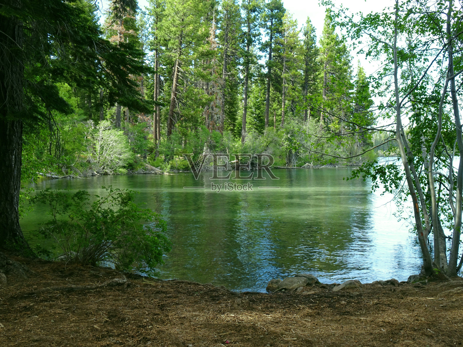 翡翠湾照片摄影图片