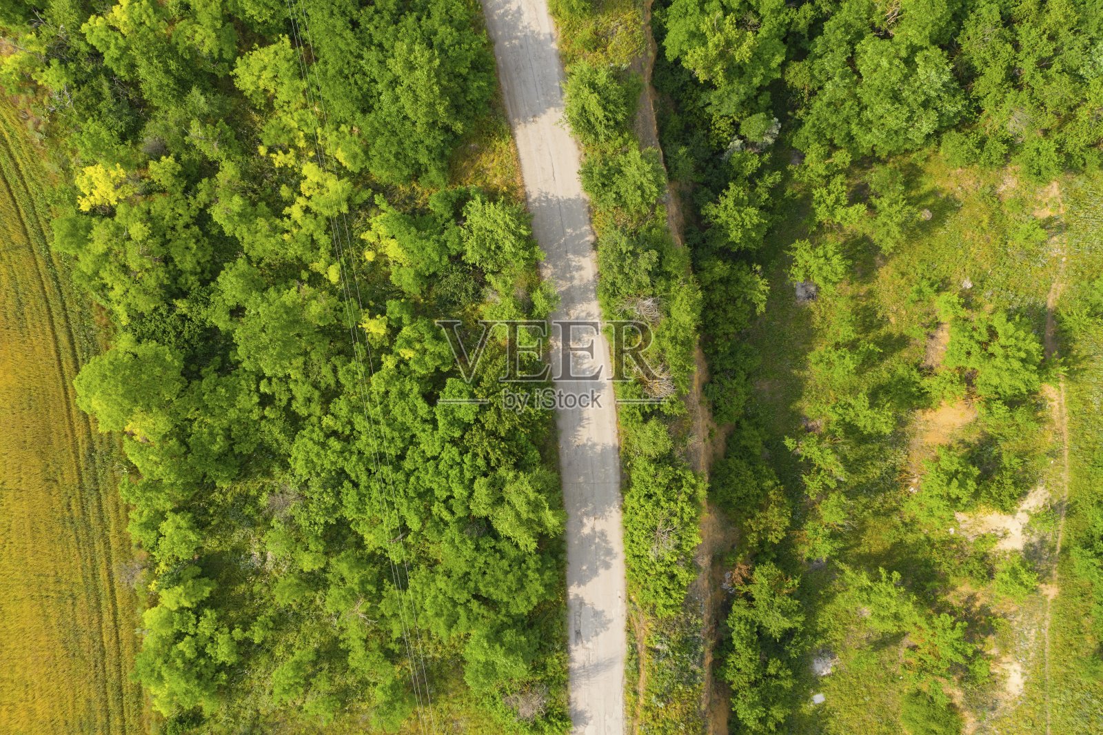 农地之间的乡村公路。照片摄影图片