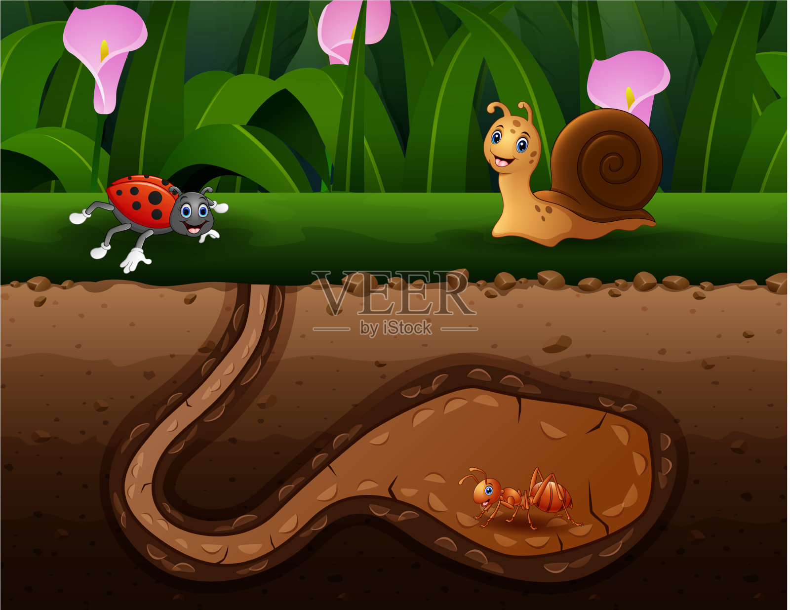 背景场景与昆虫在地面插画图片素材