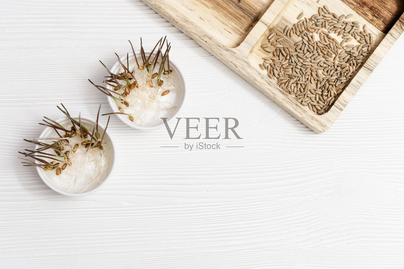 芽小麦在木制背景与复制空间。健康素食食品。小麦种子发芽在家。照片摄影图片