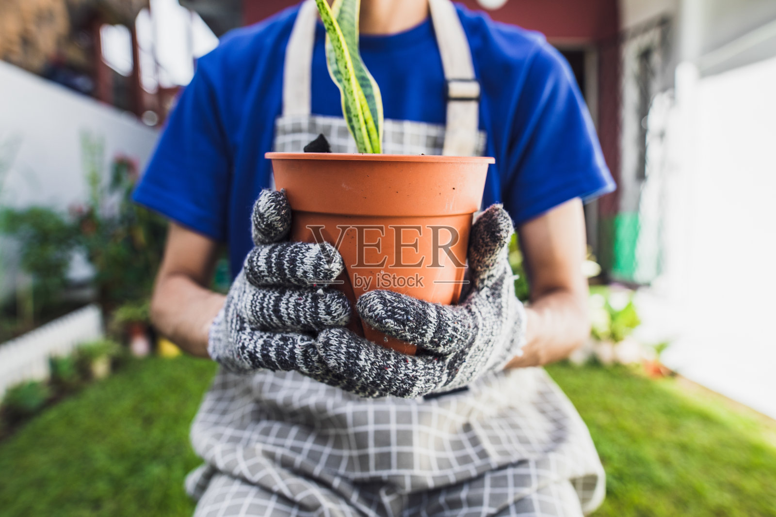 年轻的亚洲男子园艺和盆栽植物在家里照片摄影图片