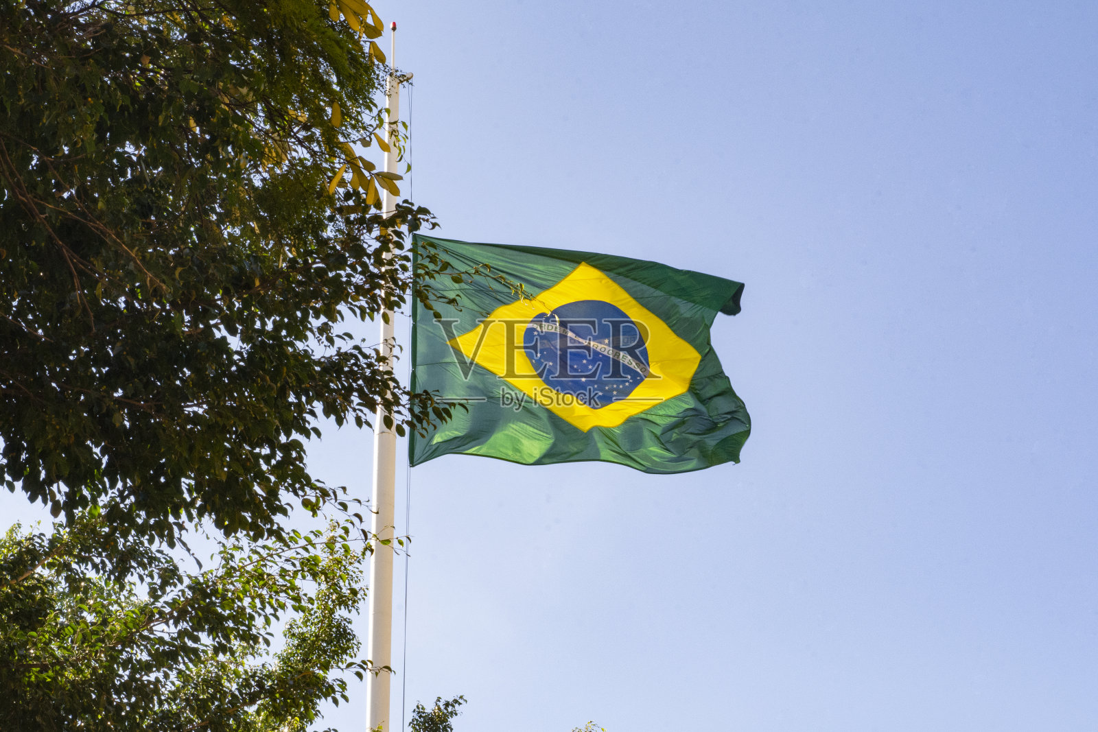 巴西的国旗照片摄影图片