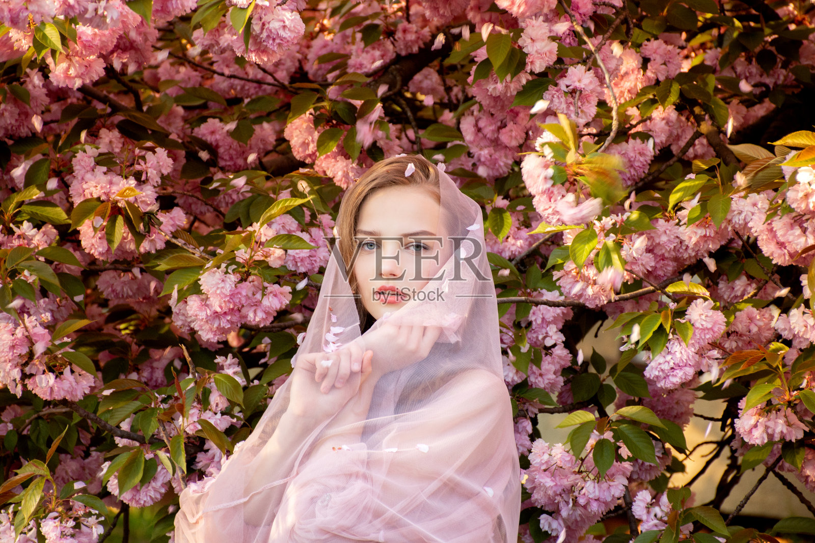 一个美丽的少女的肖像在精致的樱花与面纱照片摄影图片