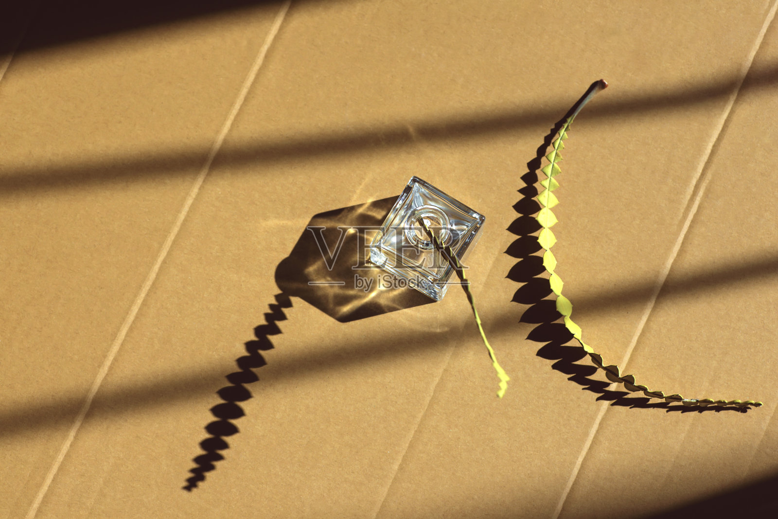 《侘寂》组成。在一个方瓶里有一株干燥的植物。在有阴影的硬纸板上照片摄影图片