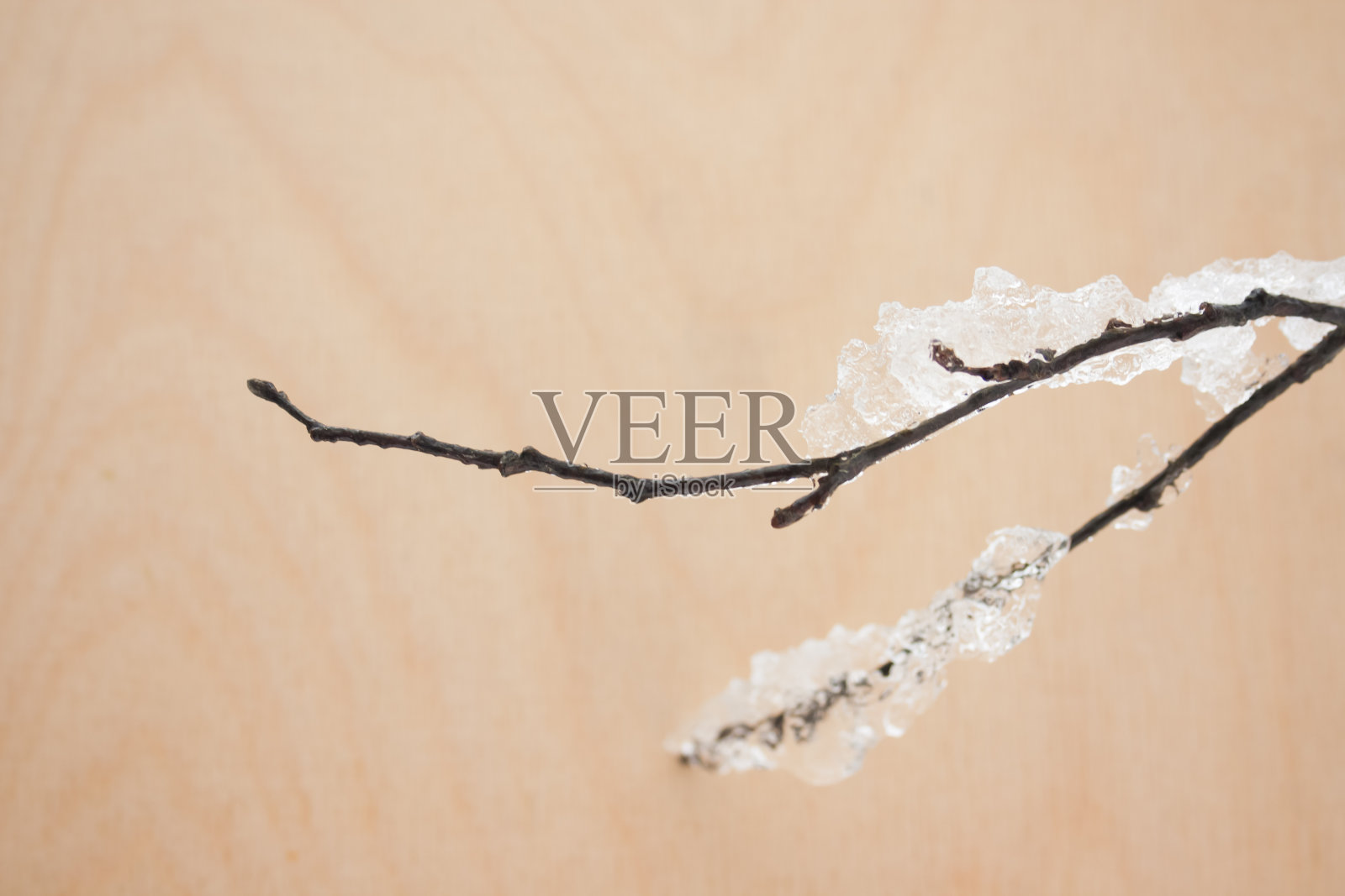 木制的棕色背景与冰雪覆盖的树枝与空的拷贝空间。平的。冻僵的杂草树枝被雪覆盖。照片摄影图片