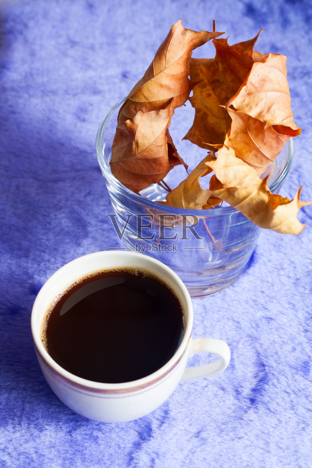 白色的咖啡杯，紫色的背景和橙色的干燥的秋叶。照片摄影图片