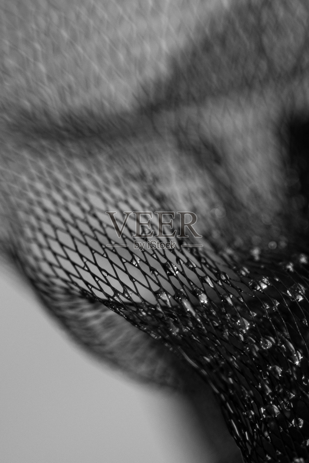 水滴落在黑色的网白色的背景上，黑白相间照片摄影图片