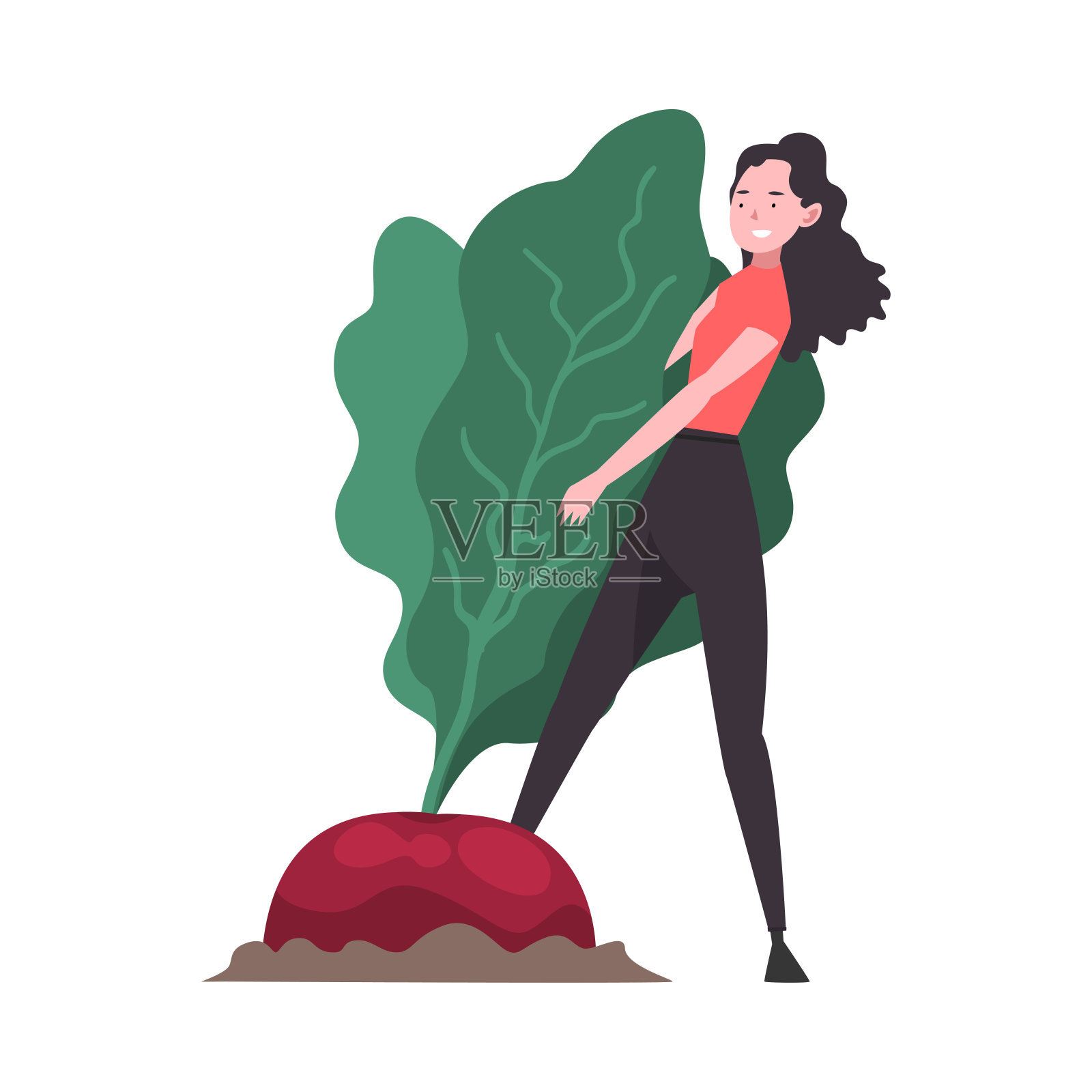 女孩拔大甜菜根，女性农民与自然有机蔬菜载体插图设计元素图片