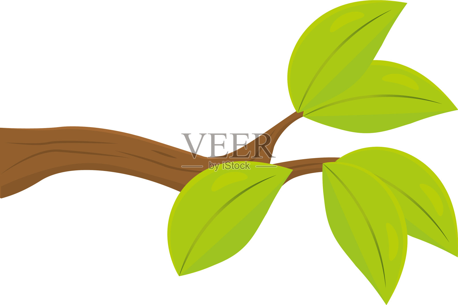 带叶孤立枝插画图片素材