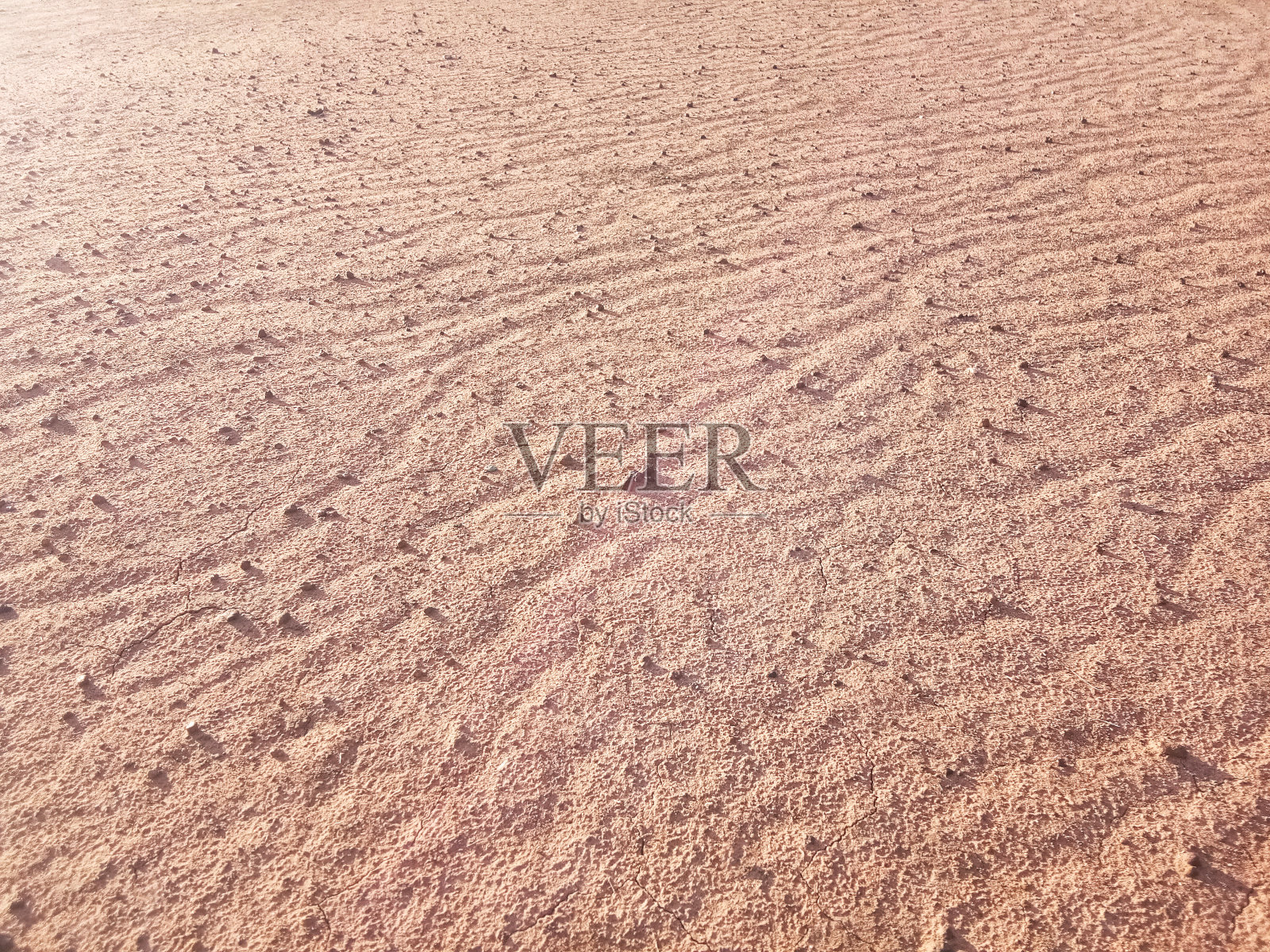 干燥的地面纹理具有奇异的波浪特征，在俯视图中由风吹引起照片摄影图片