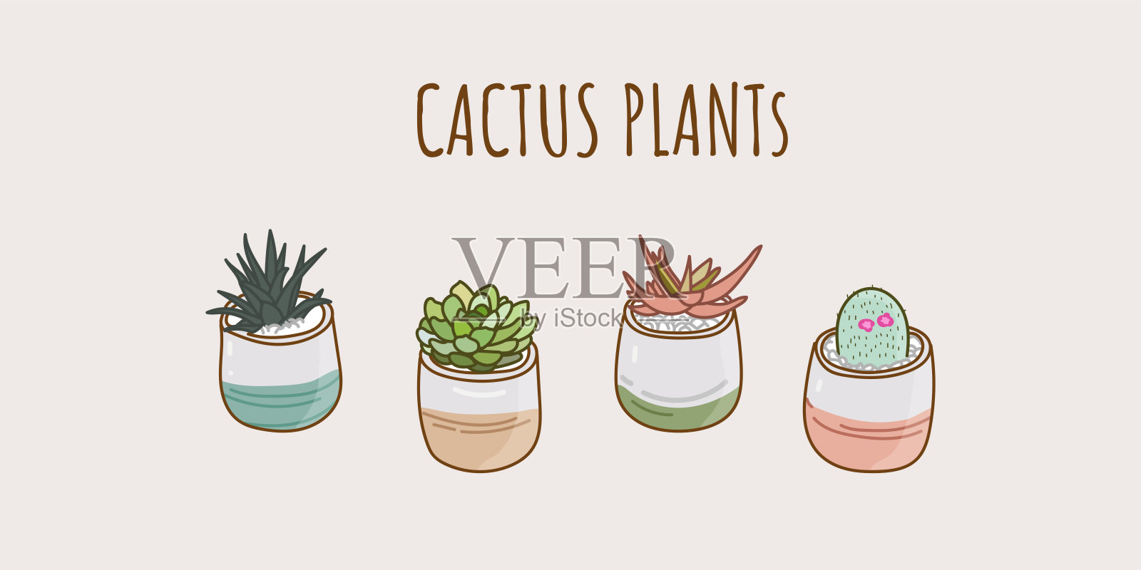 多彩的仙人掌植物收集矢量元素插画图片素材