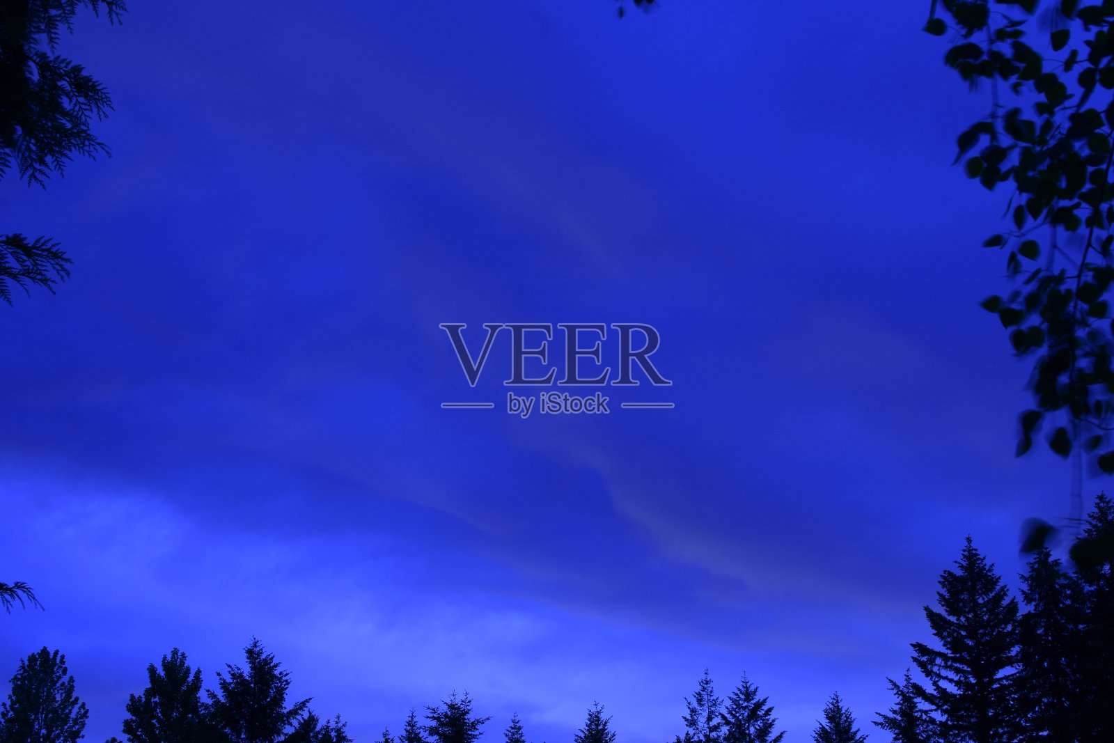 田园诗般的波浪卷层云框架与树木的剪影在日出照片摄影图片