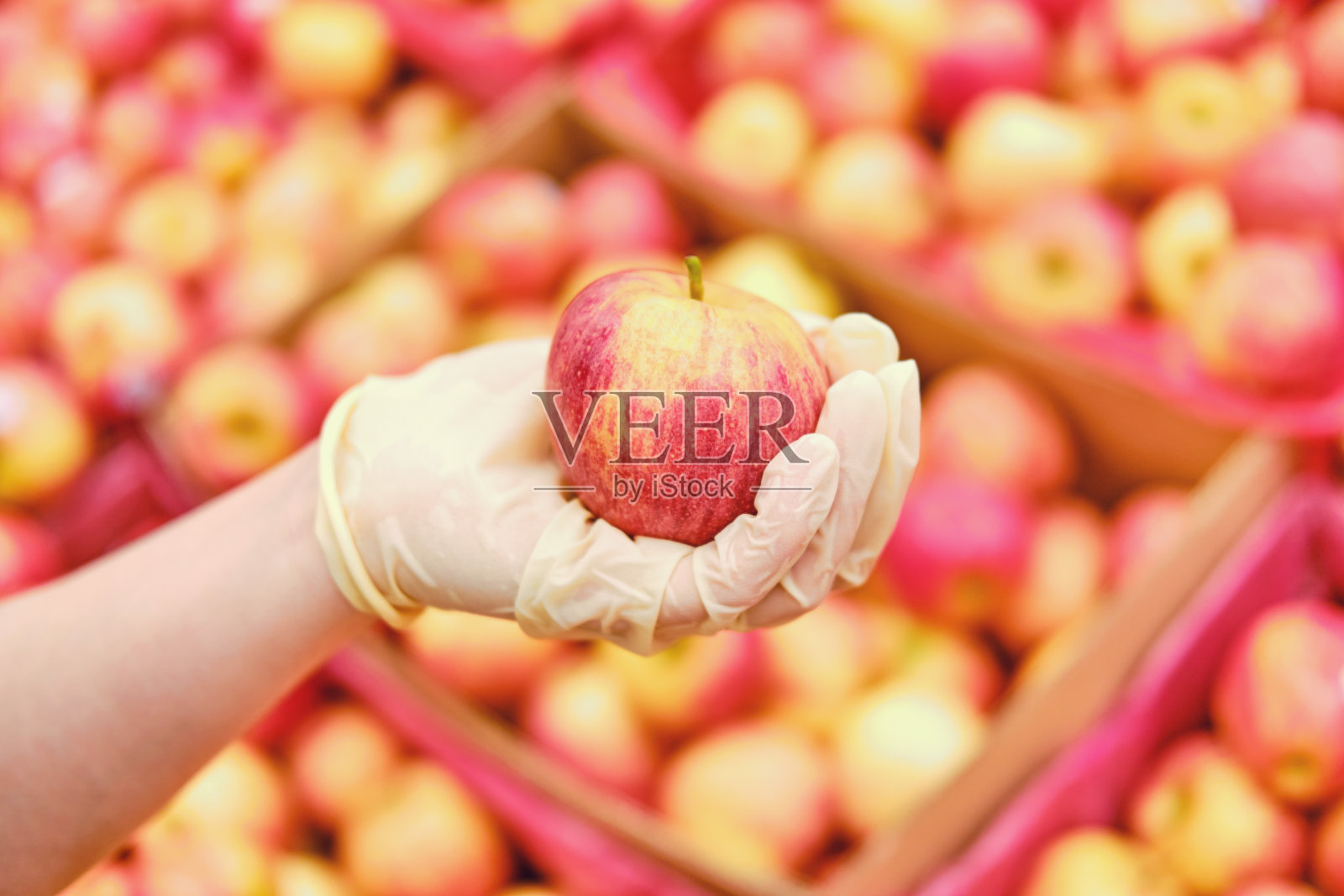 递上防护医用手套取一个红苹果，特写照片摄影图片