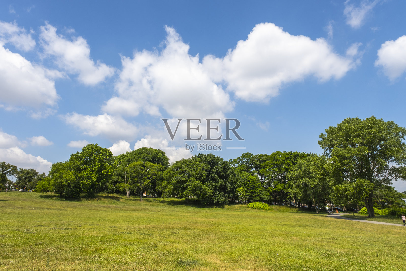 蓝色和绿色照片摄影图片