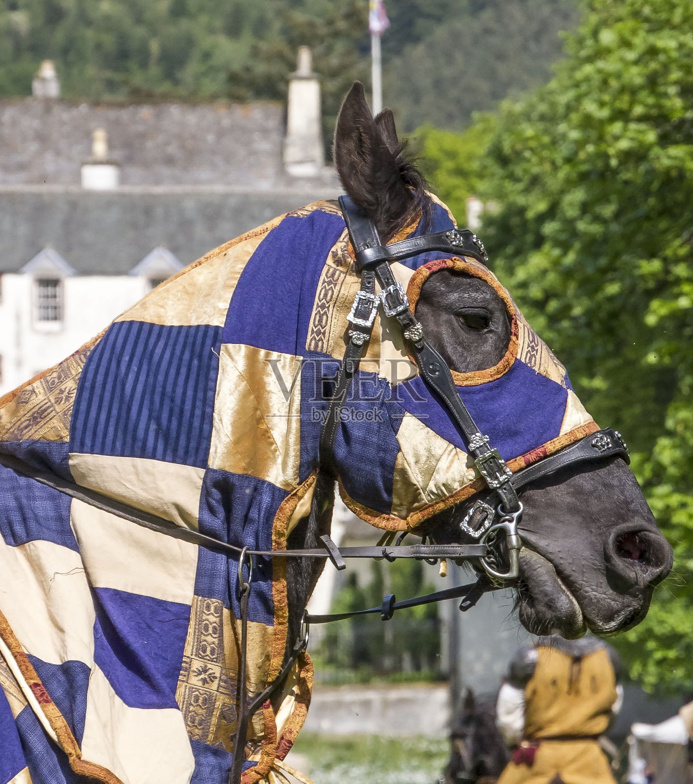 中世纪的战马。照片摄影图片