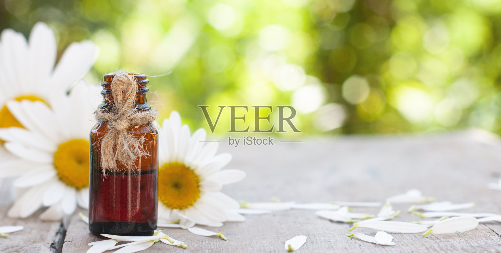 洋甘菊花与油瓶在大自然中照片摄影图片