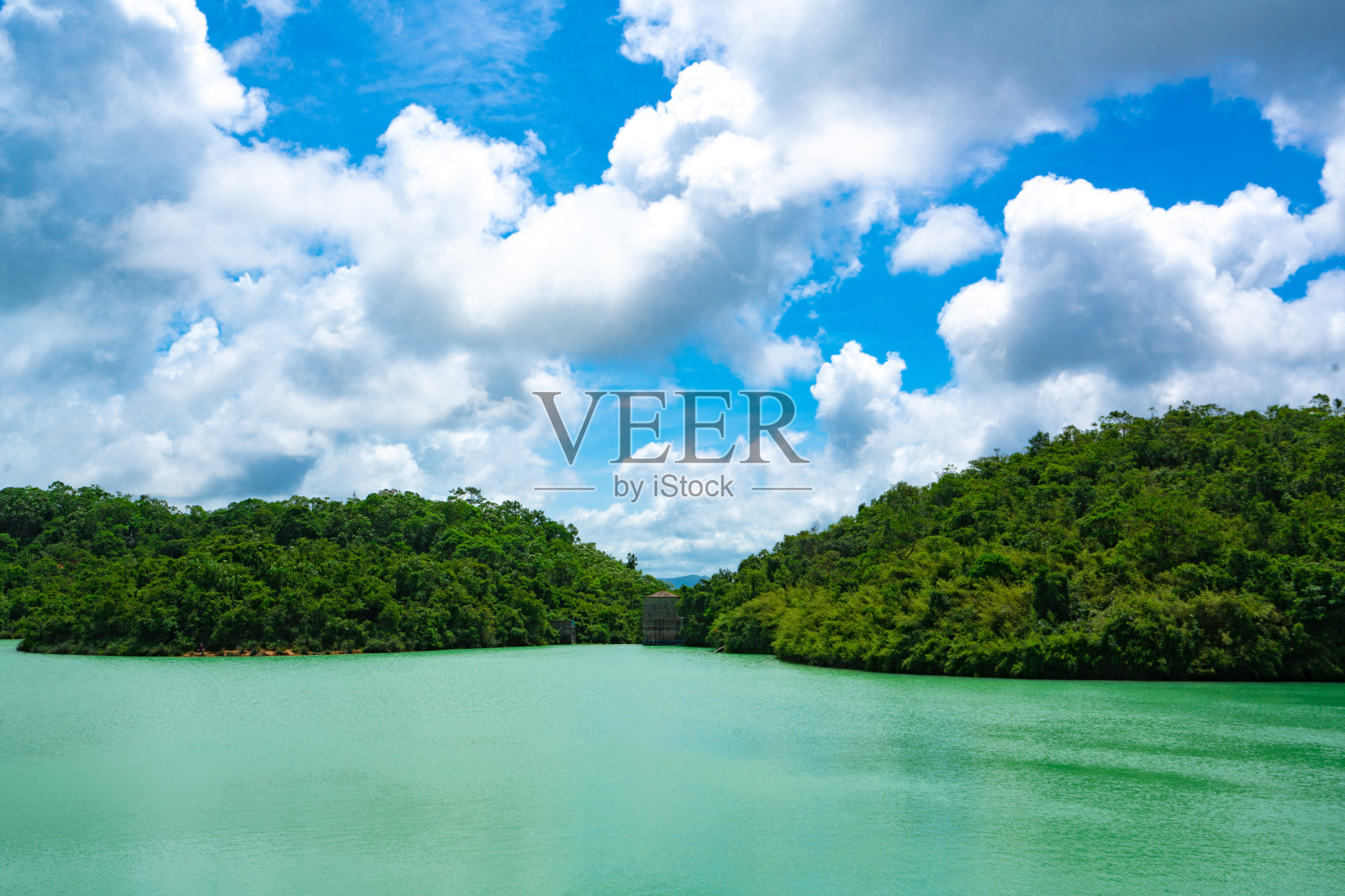 位于香港的九龙水塘照片摄影图片