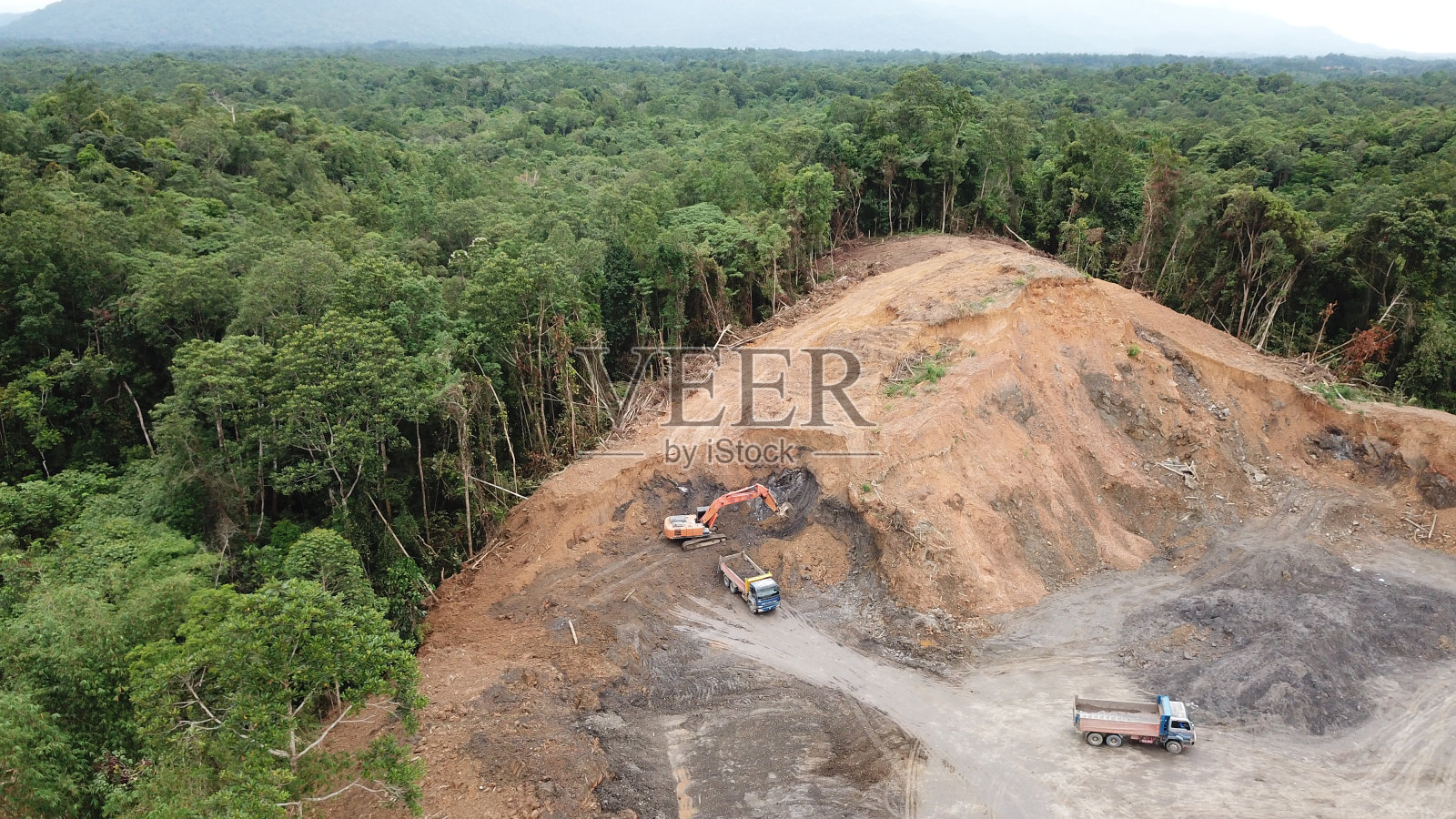 森林砍伐照片摄影图片