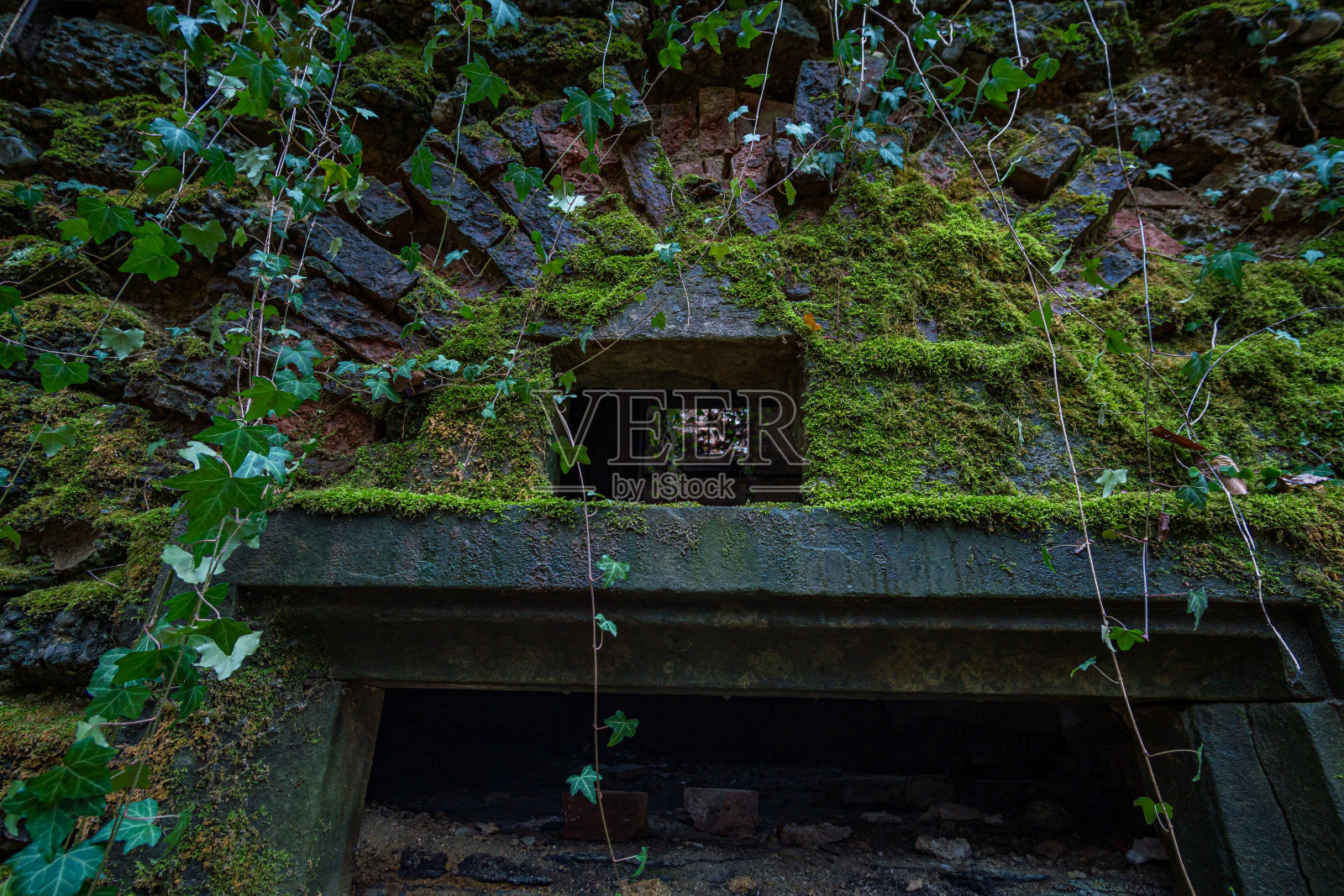 原电站照片摄影图片