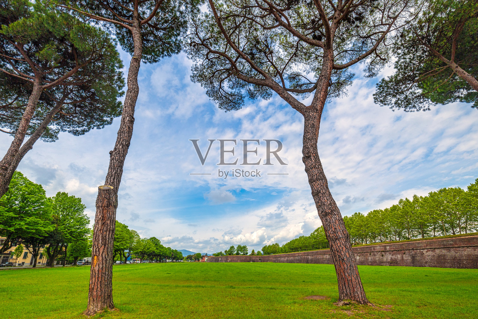 意大利卢卡历史悠久的城墙附近的树木公园。照片摄影图片