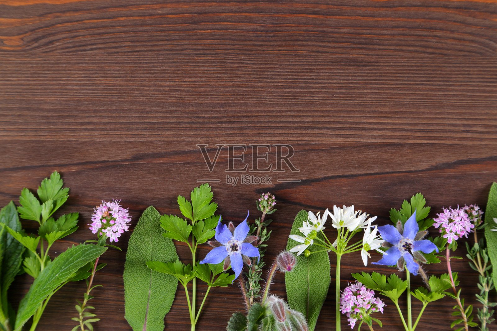 香料和草药。照片摄影图片