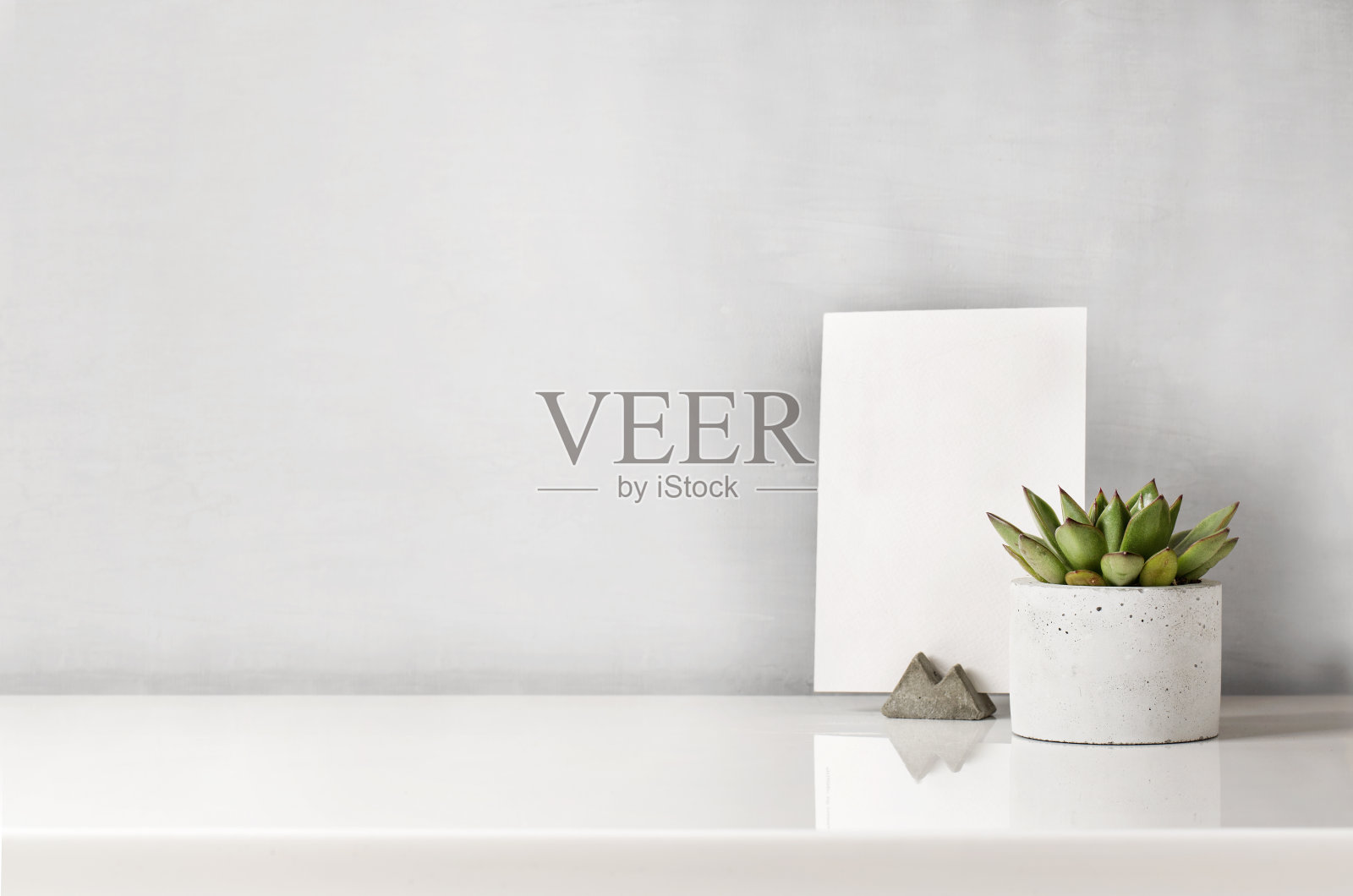 白色桌子上的混凝土花盆里有多肉植物照片摄影图片