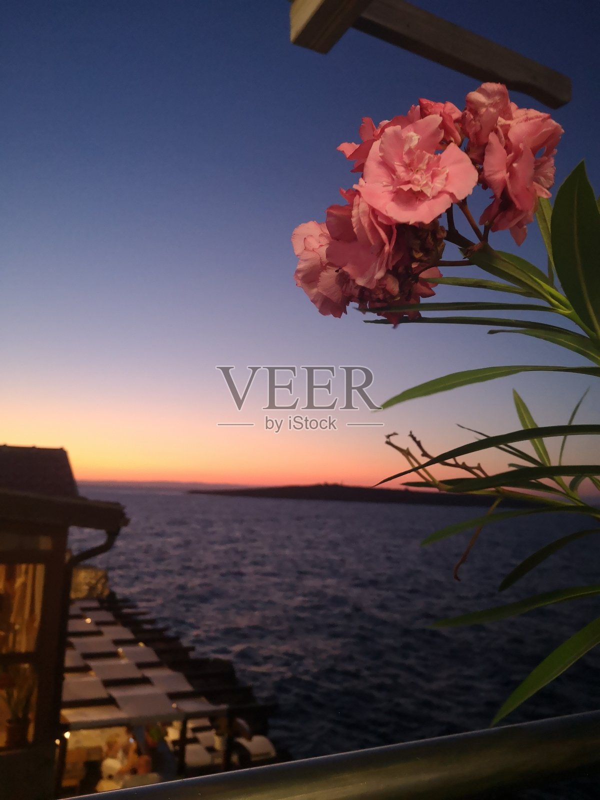 海花照片摄影图片