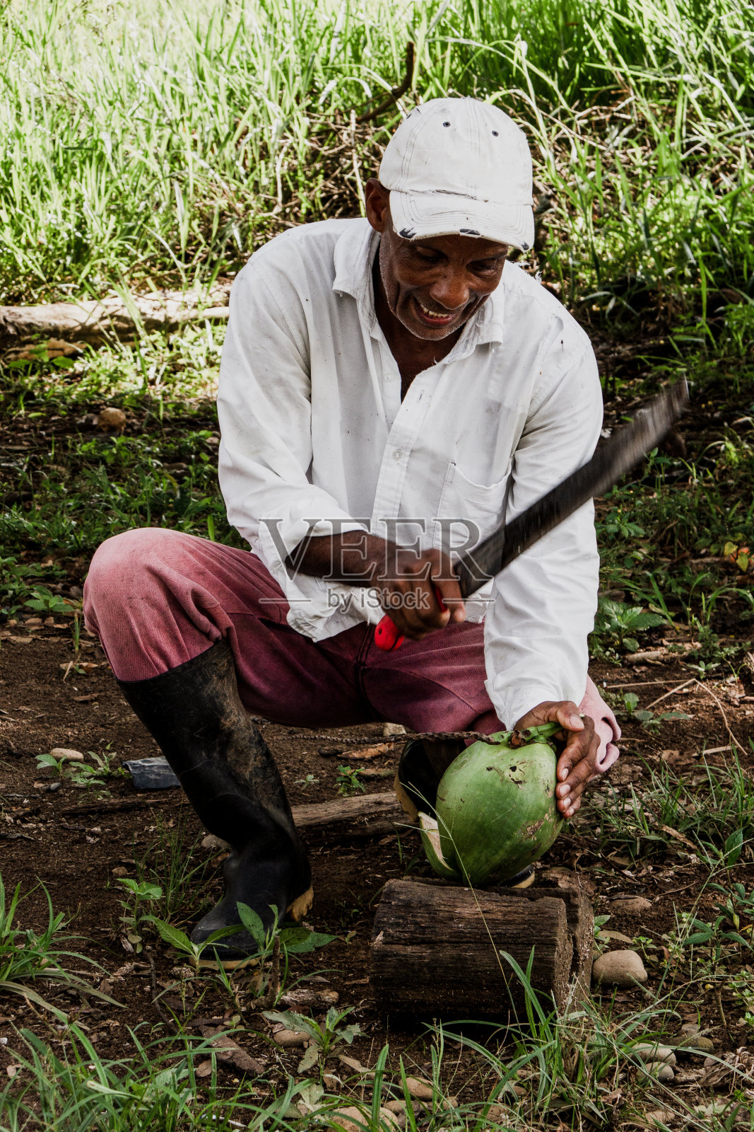 一个人用大砍刀打开一个椰子喝他的水，美味的水照片摄影图片