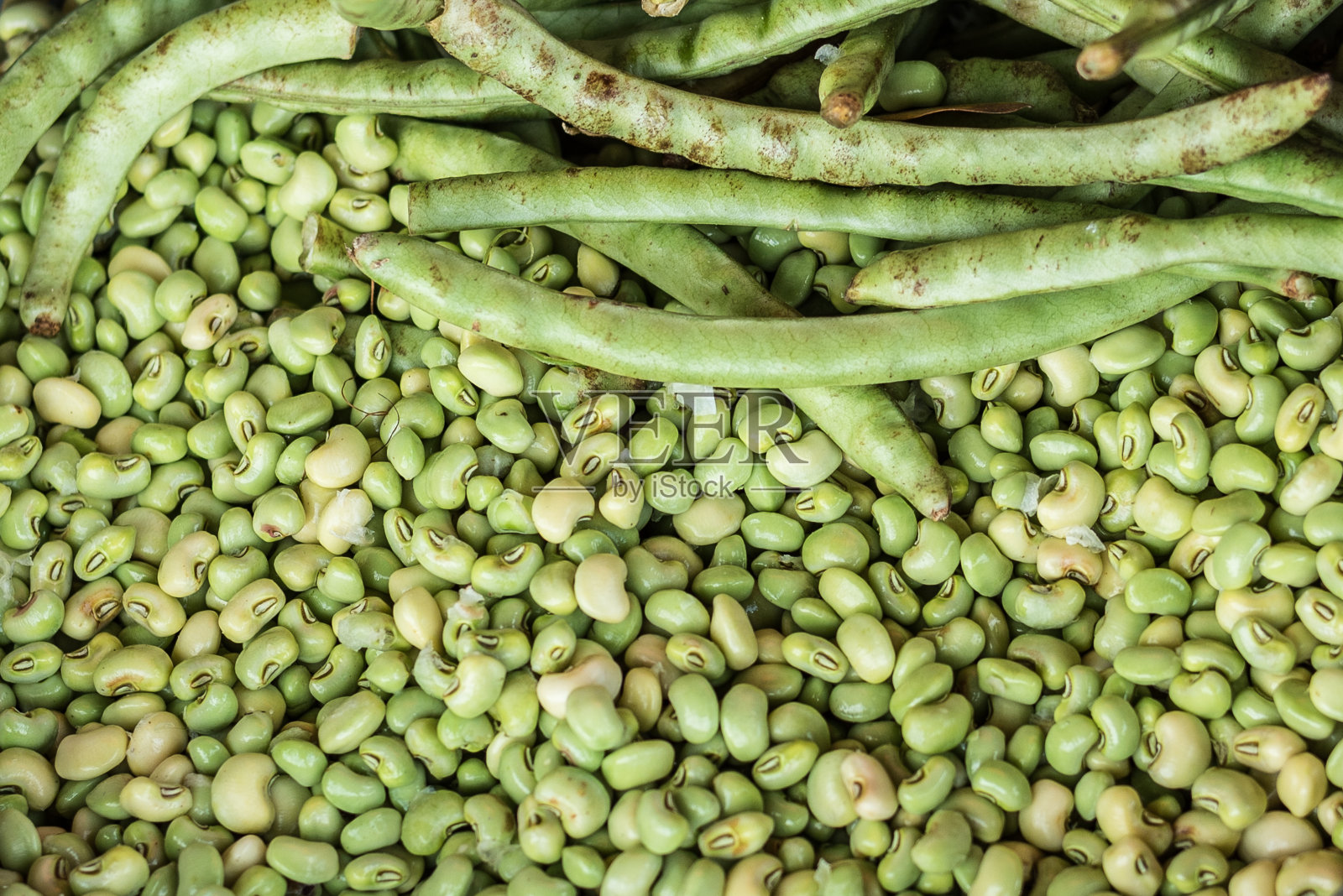 巴西的绿豆照片摄影图片