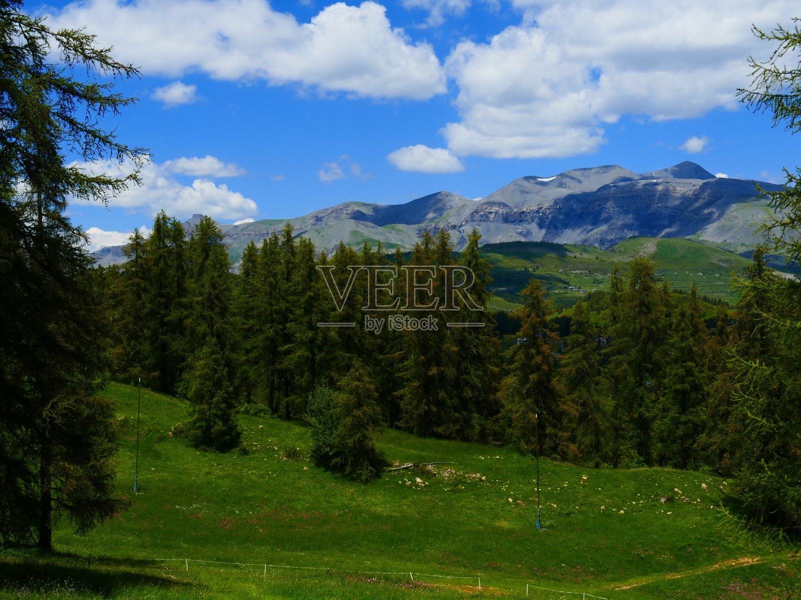 草原，以Mounier山为背景，周围的瓦尔伯格，阿尔卑斯-海洋照片摄影图片