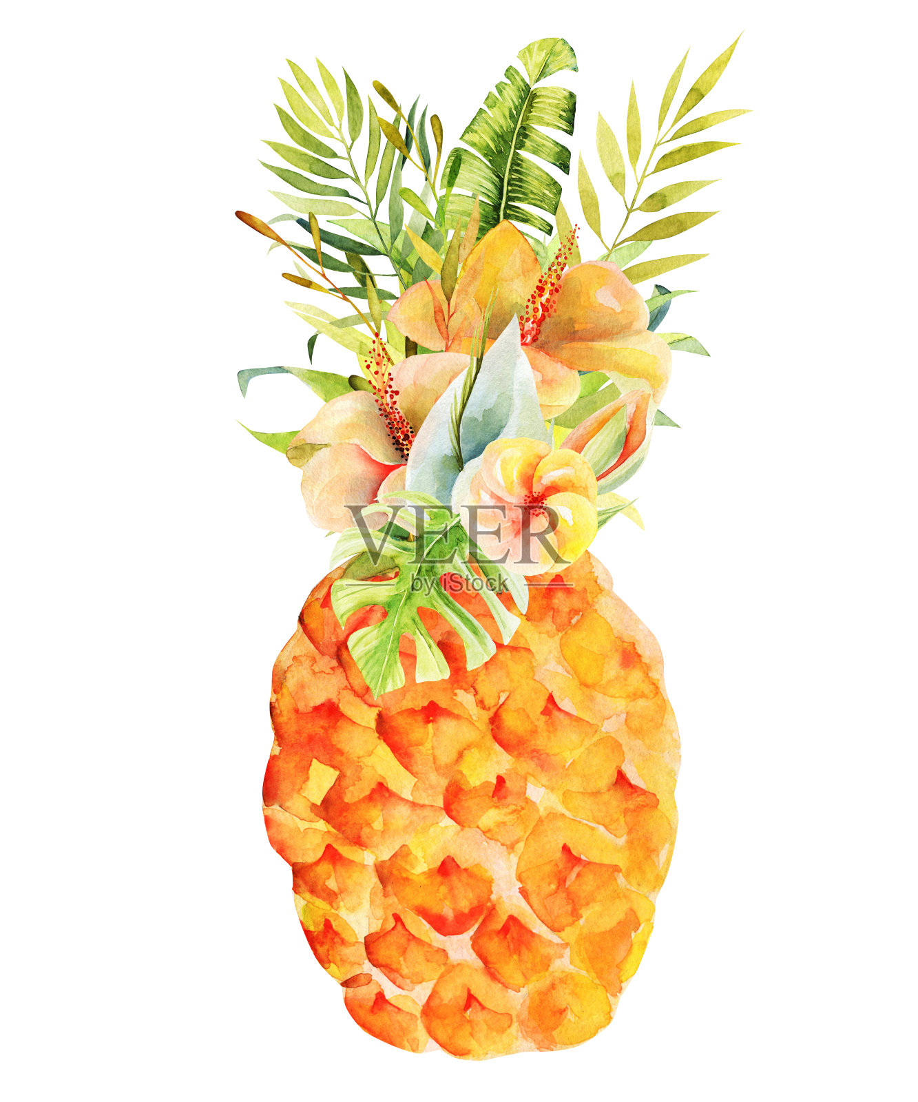 水彩菠萝花，孤立的插图上的白色背景插画图片素材