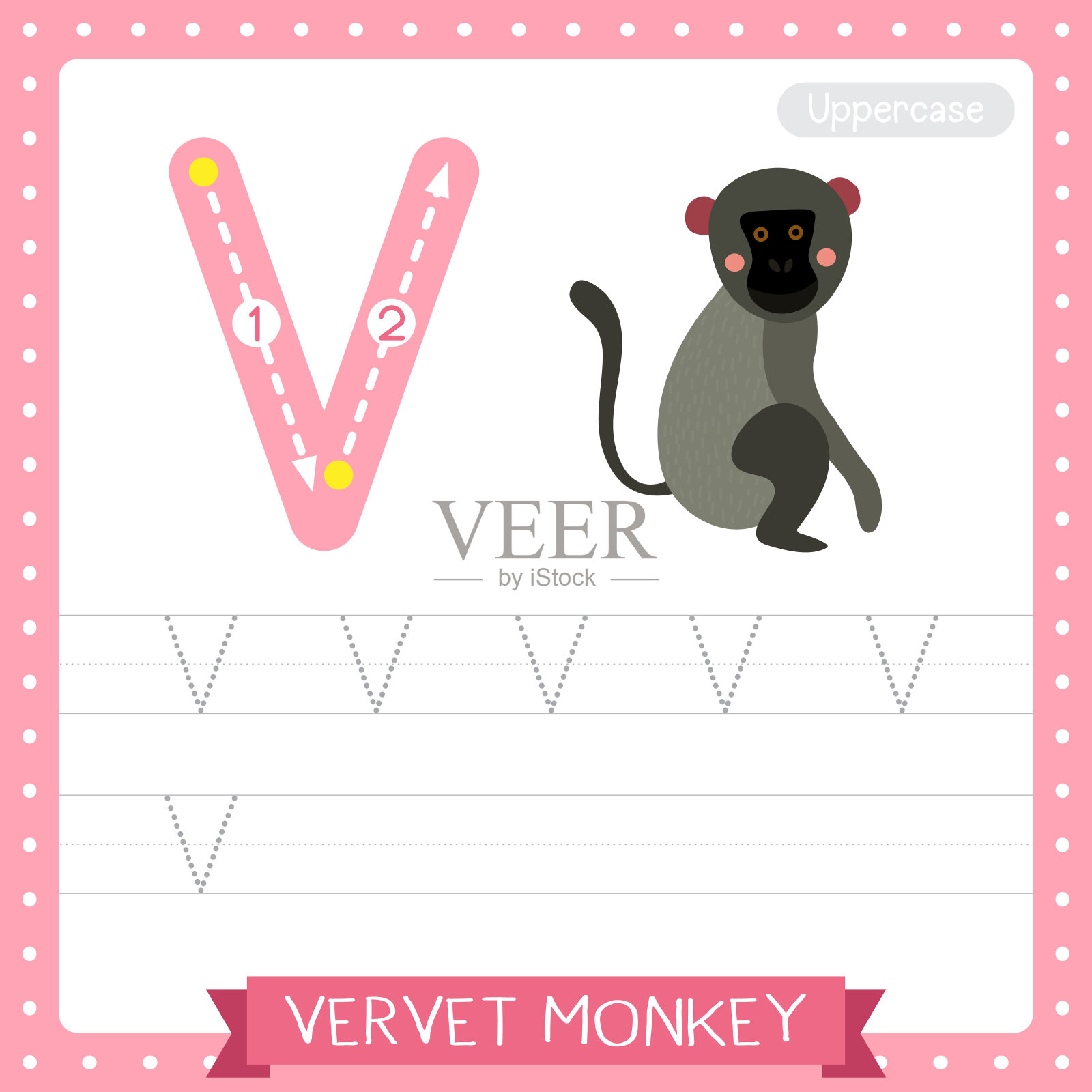 长尾猴的大写字母V描摹练习练习表插画图片素材