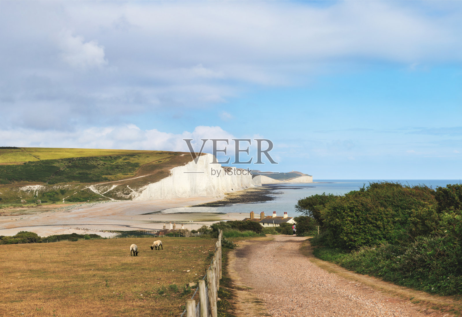 七姐妹国家公园高高的白色白垩悬崖，东苏塞克斯，英国照片摄影图片