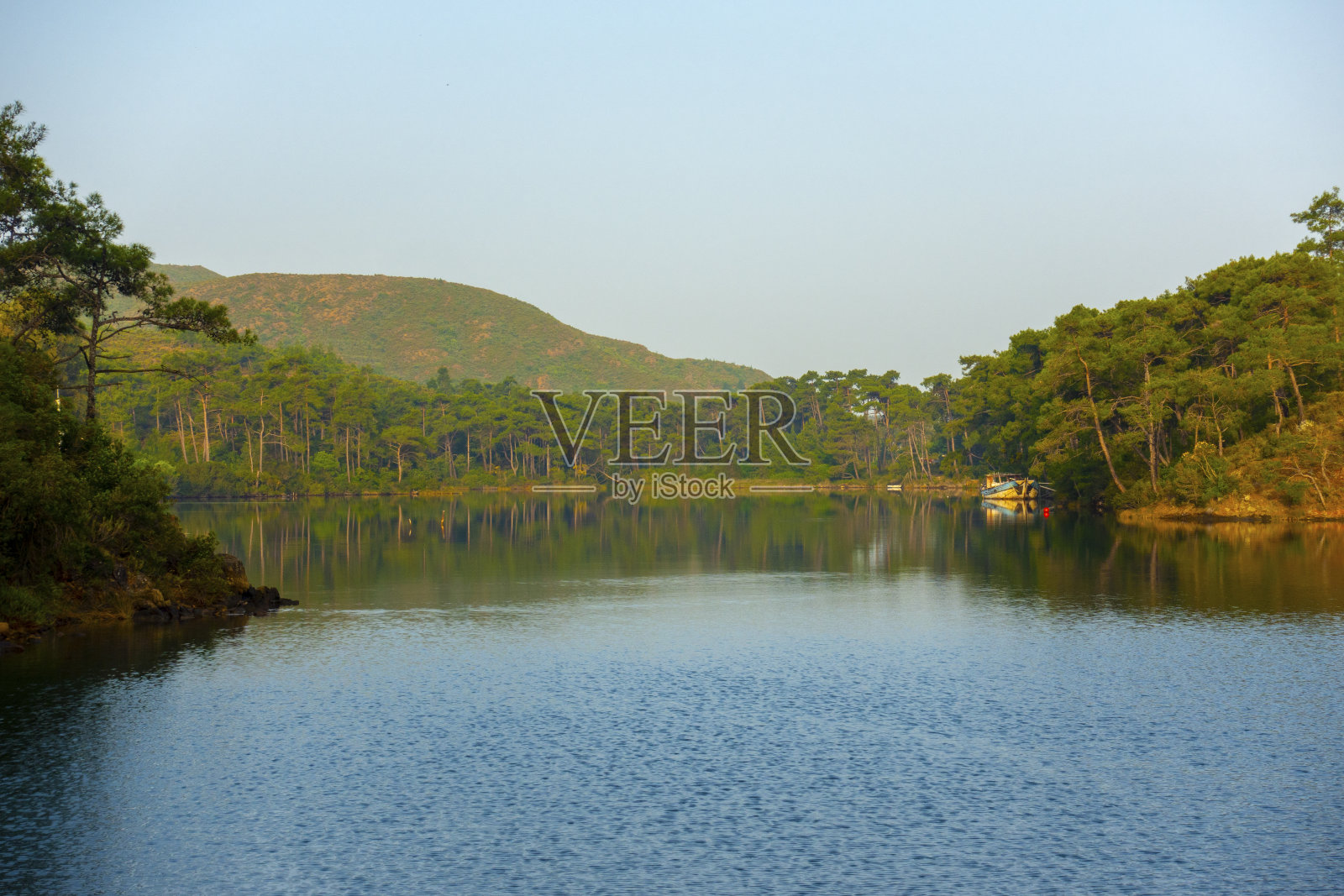 美丽的海景，松树和渔船照片摄影图片