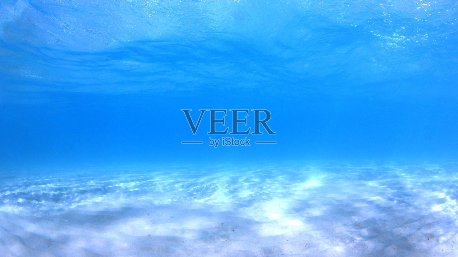 海洋水下背景照片摄影图片