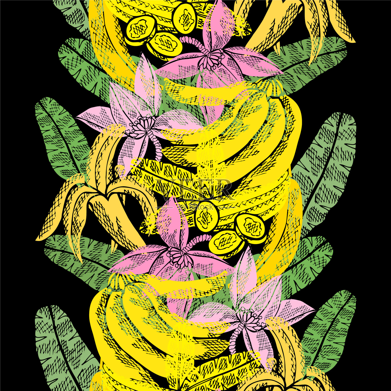 手绘的水果插画图片素材