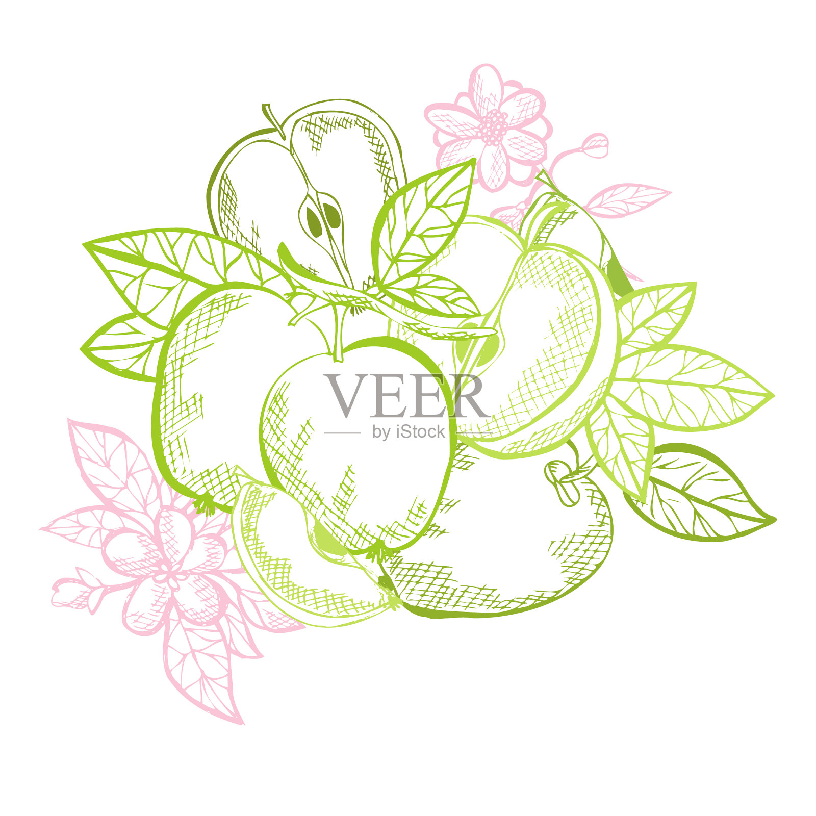 手绘的水果设计元素图片